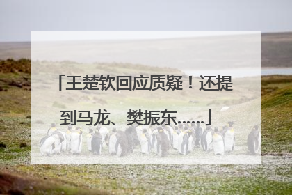 王楚钦回应质疑！还提到马龙、樊振东……