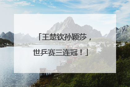 王楚钦孙颖莎，世乒赛三连冠！