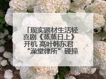 现实题材生活轻喜剧《蒸蒸日上》开机 高叶韩东君“澡堂律所”碰撞烟火气