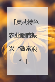 灵武特色农业翻腾振兴“致富浪”