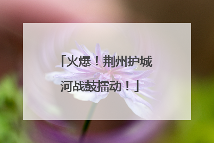 火爆！荆州护城河战鼓擂动！