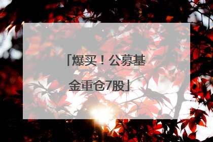 爆买！公募基金重仓7股