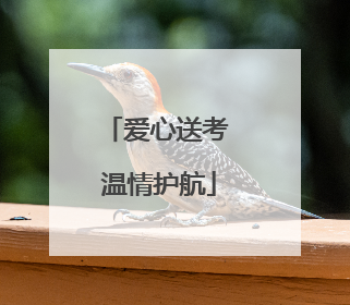 爱心送考 温情护航