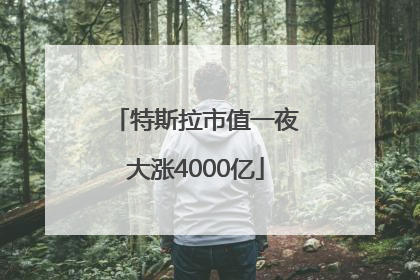 特斯拉市值一夜大涨4000亿