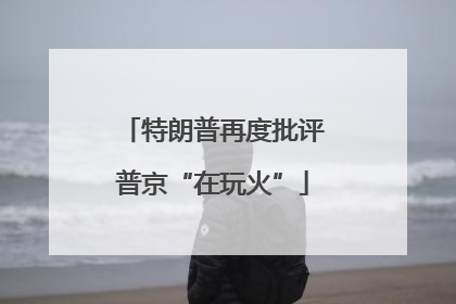 特朗普再度批评普京“在玩火”