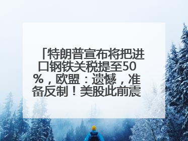 特朗普宣布将把进口钢铁关税提至50%，欧盟：遗憾，准备反制！美股此前震荡，机构：美元正进入熊市