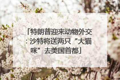 特朗普迎来动物外交：沙特将送两只“大猫咪”去美国首都