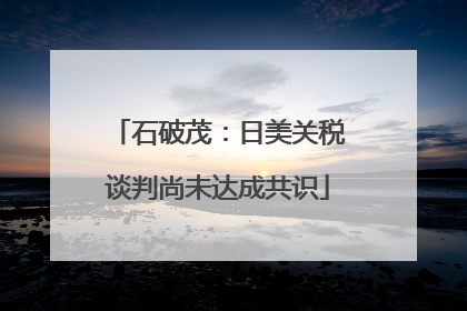 石破茂：日美关税谈判尚未达成共识