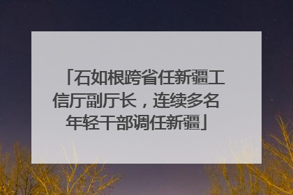 石如根跨省任新疆工信厅副厅长，连续多名年轻干部调任新疆