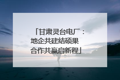 甘肃灵台电厂：地企共建结硕果 合作共赢启新程