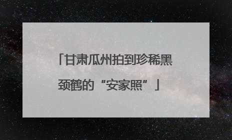甘肃瓜州拍到珍稀黑颈鹤的“安家照”