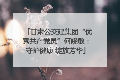 甘肃公交建集团“优秀共产党员”何晓敏：守护健康 绽放芳华