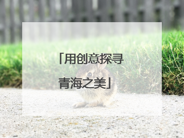 用创意探寻青海之美