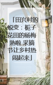 田兴村的蜕变：栀子花田的杨梅熟啦 采摘节让乡村热闹起来