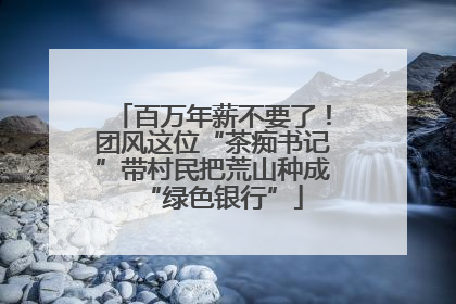 百万年薪不要了！团风这位“茶痴书记”带村民把荒山种成“绿色银行”