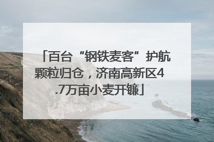 百台“钢铁麦客”护航颗粒归仓，济南高新区4.7万亩小麦开镰
