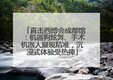 直击西博会成都馆：机器狗炫舞、手术机器人展现精准，沉浸式体验受热捧