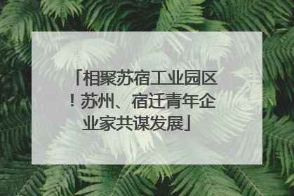 相聚苏宿工业园区！苏州、宿迁青年企业家共谋发展