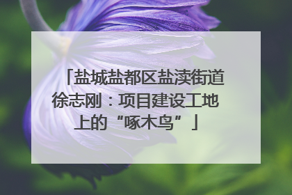 盐城盐都区盐渎街道徐志刚：项目建设工地上的“啄木鸟”