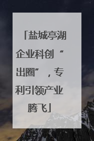 盐城亭湖企业科创“出圈”，专利引领产业腾飞