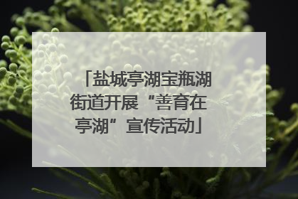 盐城亭湖宝瓶湖街道开展“善育在亭湖”宣传活动