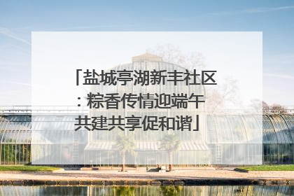 盐城亭湖新丰社区：粽香传情迎端午 共建共享促和谐