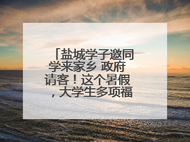 盐城学子邀同学来家乡 政府请客！这个暑假，大学生多项福利免费游盐城