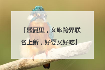 盛夏里，文旅跨界联名上新，好耍又好吃