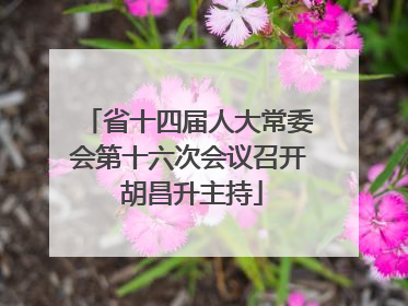 省十四届人大常委会第十六次会议召开 胡昌升主持