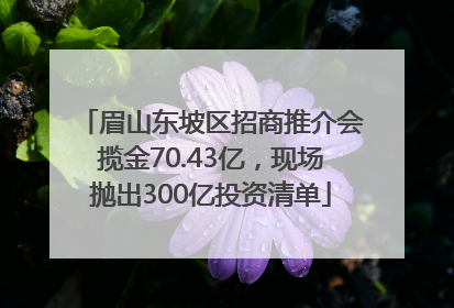 眉山东坡区招商推介会揽金70.43亿，现场抛出300亿投资清单