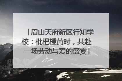 眉山天府新区行知学校：枇杷橙黄时，共赴一场劳动与爱的盛宴