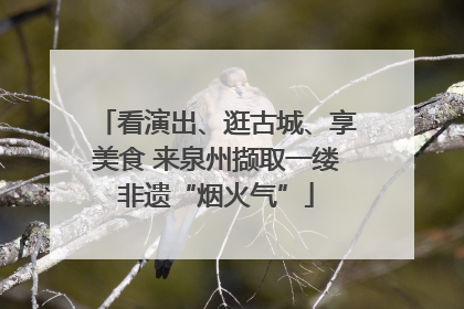 看演出、逛古城、享美食 来泉州撷取一缕非遗“烟火气”
