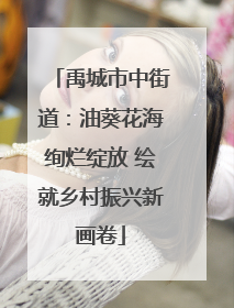 禹城市中街道：油葵花海绚烂绽放 绘就乡村振兴新画卷