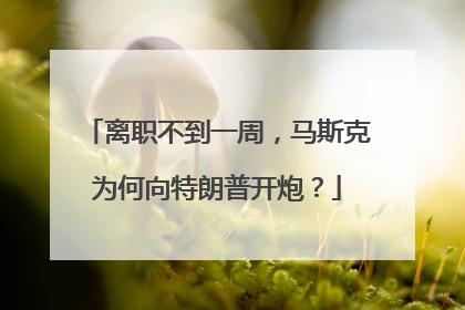 离职不到一周，马斯克为何向特朗普开炮？