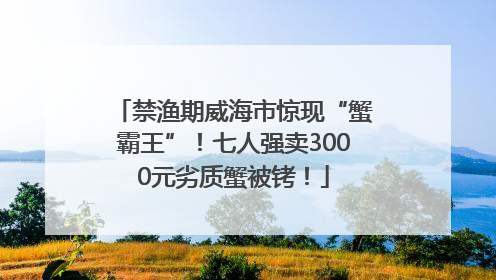 禁渔期威海市惊现“蟹霸王”！七人强卖3000元劣质蟹被铐！