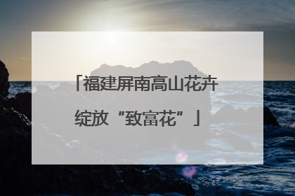 福建屏南高山花卉绽放“致富花”