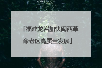 福建龙岩加快闽西革命老区高质量发展