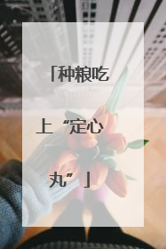 种粮吃上“定心丸”