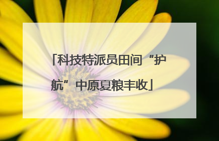 科技特派员田间“护航”中原夏粮丰收