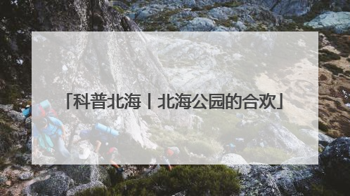科普北海丨北海公园的合欢