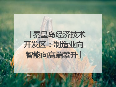 秦皇岛经济技术开发区：制造业向智能向高端攀升