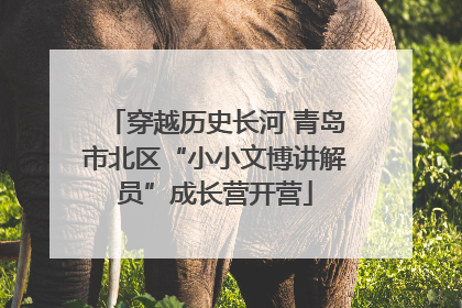 穿越历史长河 青岛市北区“小小文博讲解员”成长营开营