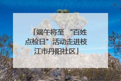 端午将至 “百姓点检日”活动走进枝江市丹阳社区
