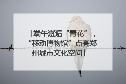 端午邂逅“青花”，“移动博物馆”点亮郑州城市文化空间