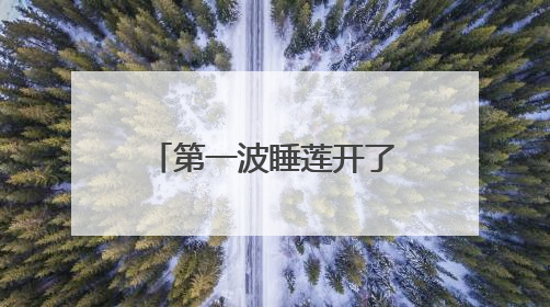 第一波睡莲开了！暑气渐浓，沪上公园打翻大自然“调色盘”