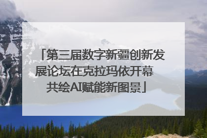 第三届数字新疆创新发展论坛在克拉玛依开幕 共绘AI赋能新图景