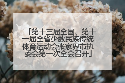 第十三届全国、第十一届全省少数民族传统体育运动会张家界市执委会第一次全会召开