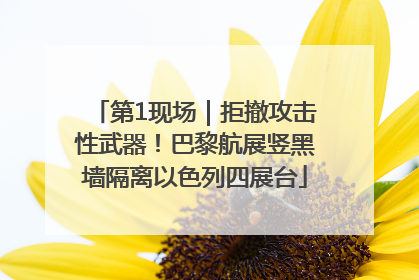 第1现场｜拒撤攻击性武器！巴黎航展竖黑墙隔离以色列四展台