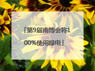 第9届南博会将100%使用绿电