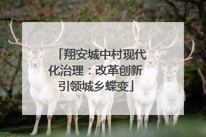 翔安城中村现代化治理：改革创新引领城乡蝶变